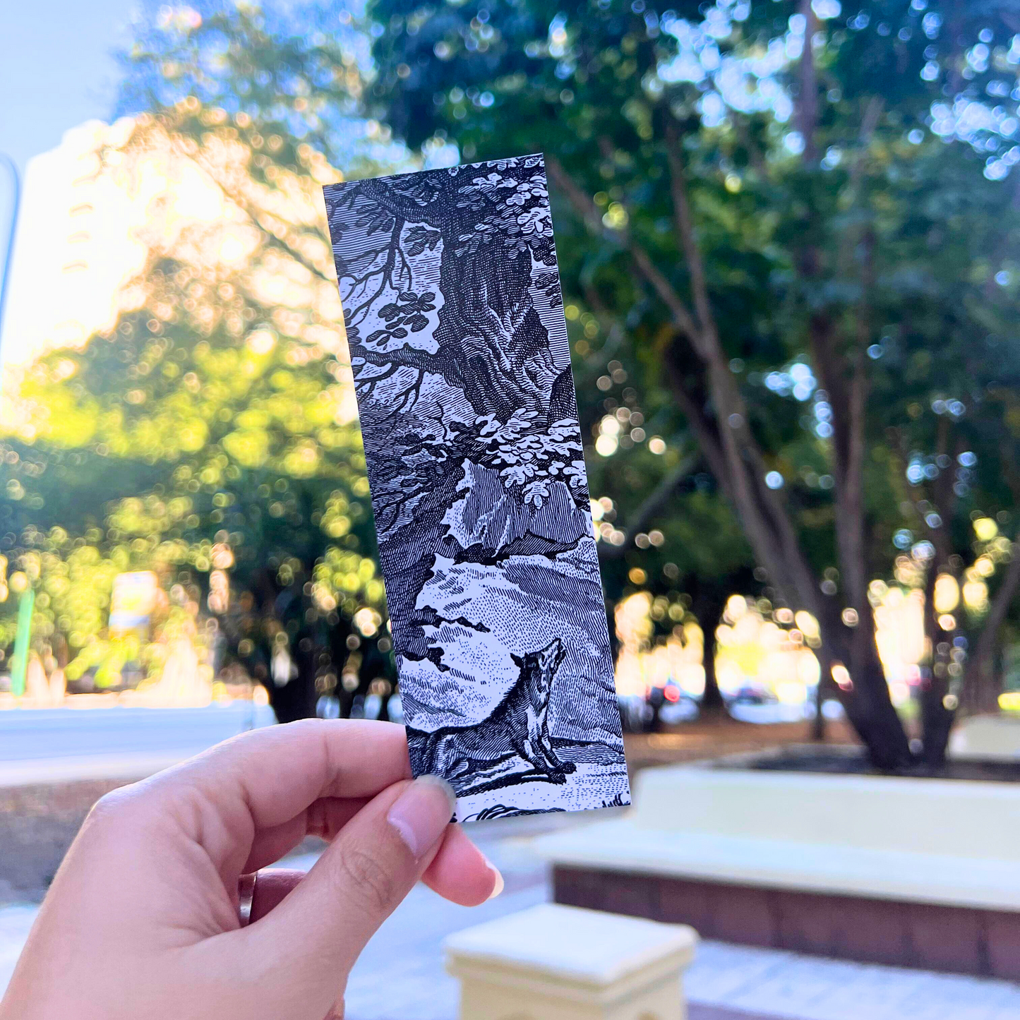 Starter Set - One Standard & One Large Bookmark