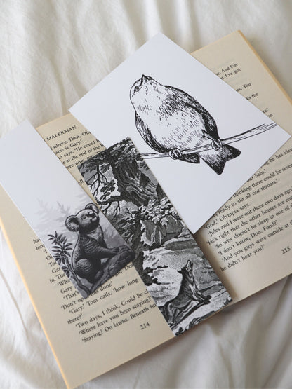 Focus Set - Two Standard & One Large Bookmark