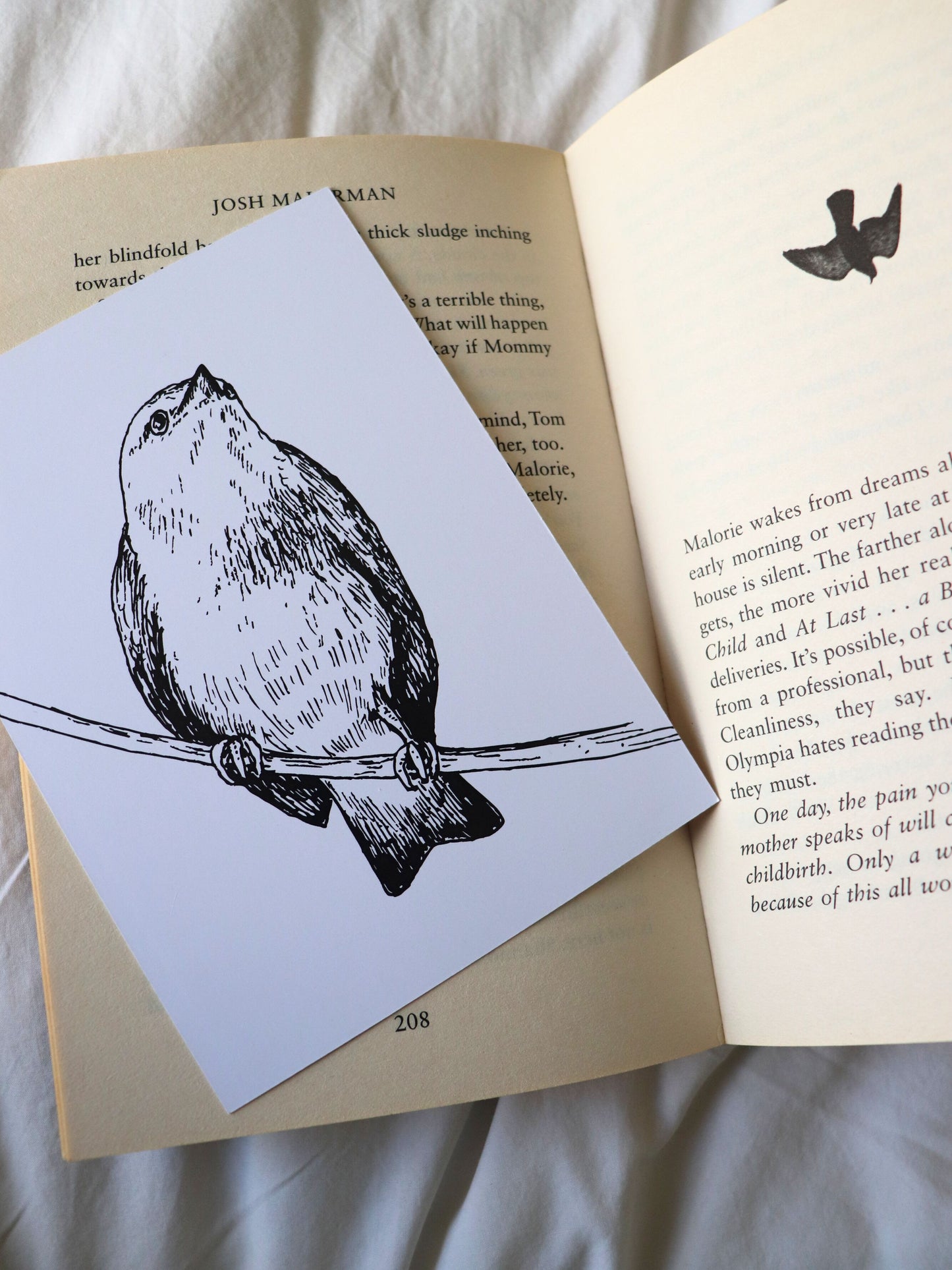 Focus Set - Two Standard & One Large Bookmark